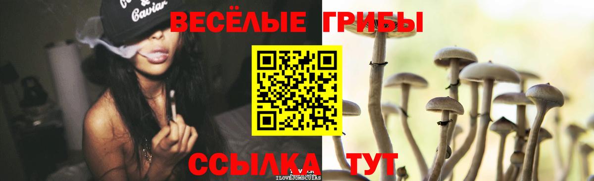 Псилоцибиновые грибы Psilocybe  Вход с VPN  Холмск 
